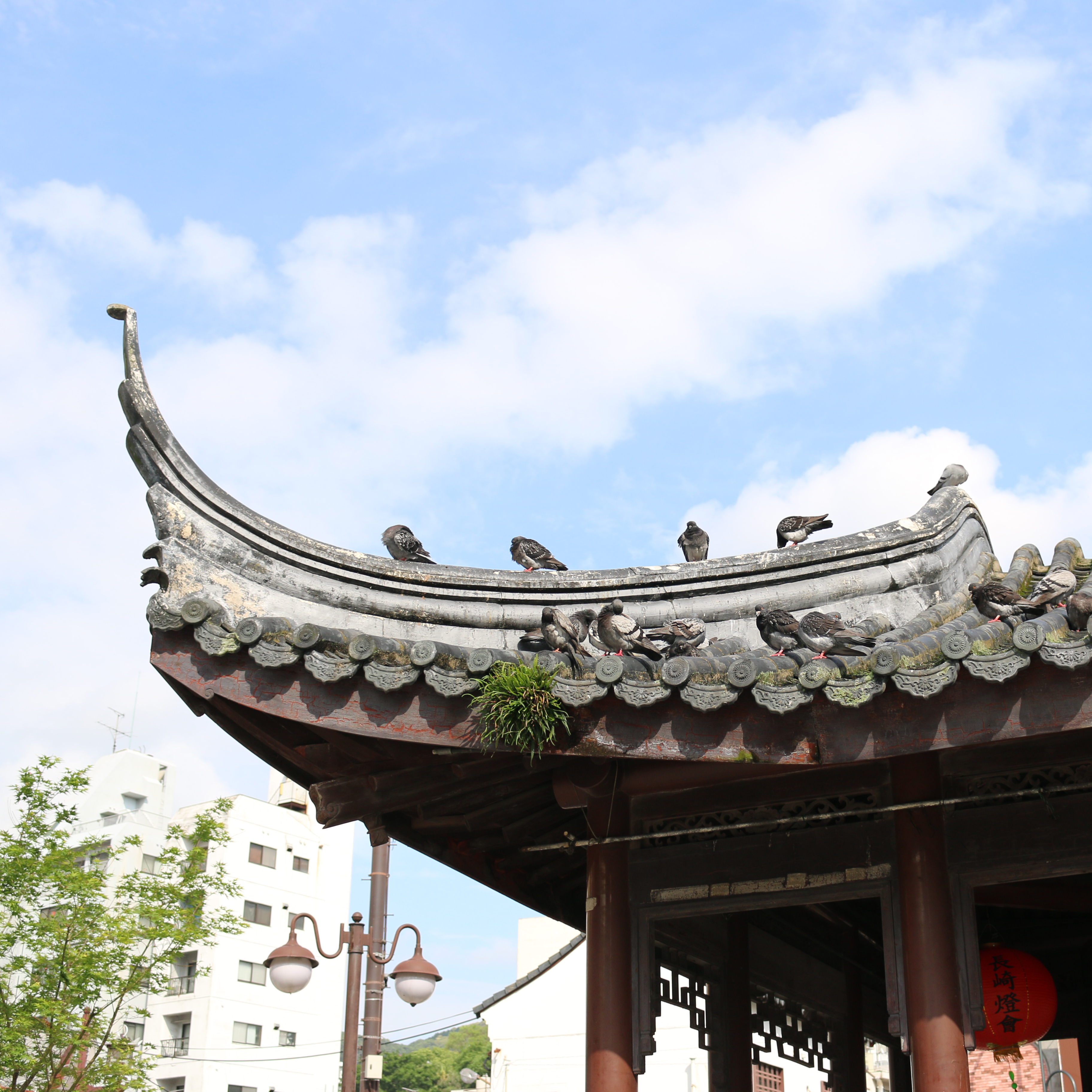 chinesegate_roof