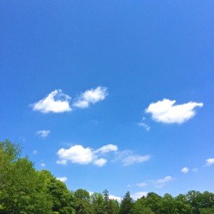 昭和記念公園上空の青空